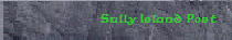 Sully Island Post